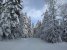 En hiver, la neige tapisse la nature et feutre les sons